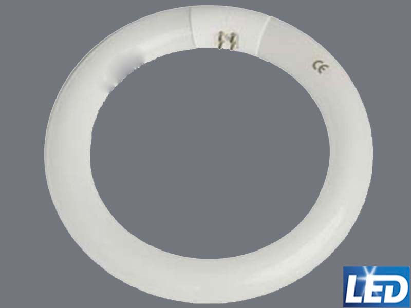 Tubo circular LED directo de 32 W y 6000 K