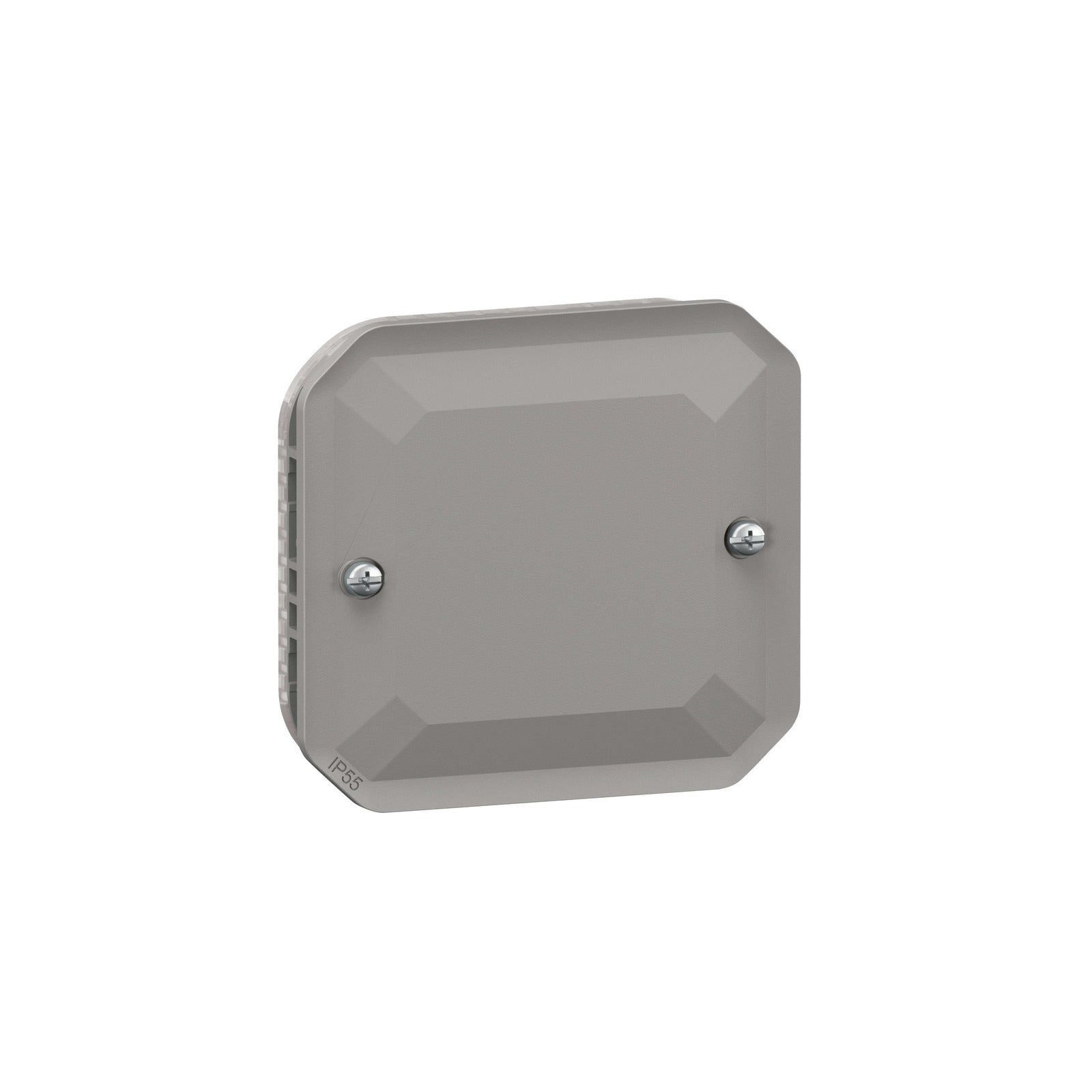 Tapa ciega Legrand Plexo modular gris, 2 módulos IP55 - referencia 069537L