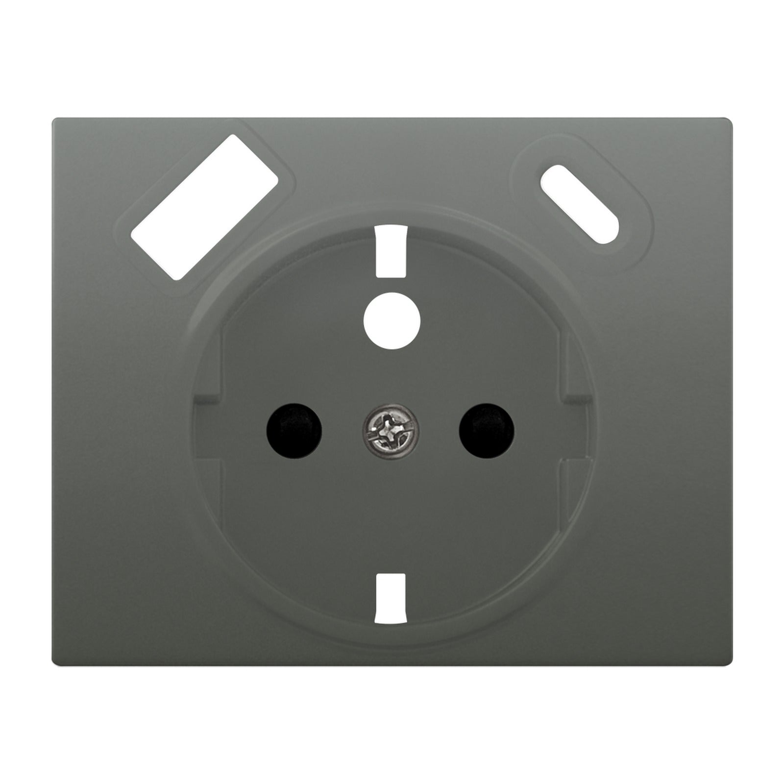 Tapa para toma francesa con cargador USB-A y USB-C BJC Iris, acero neptuno - referencia 18772-USBC-AN