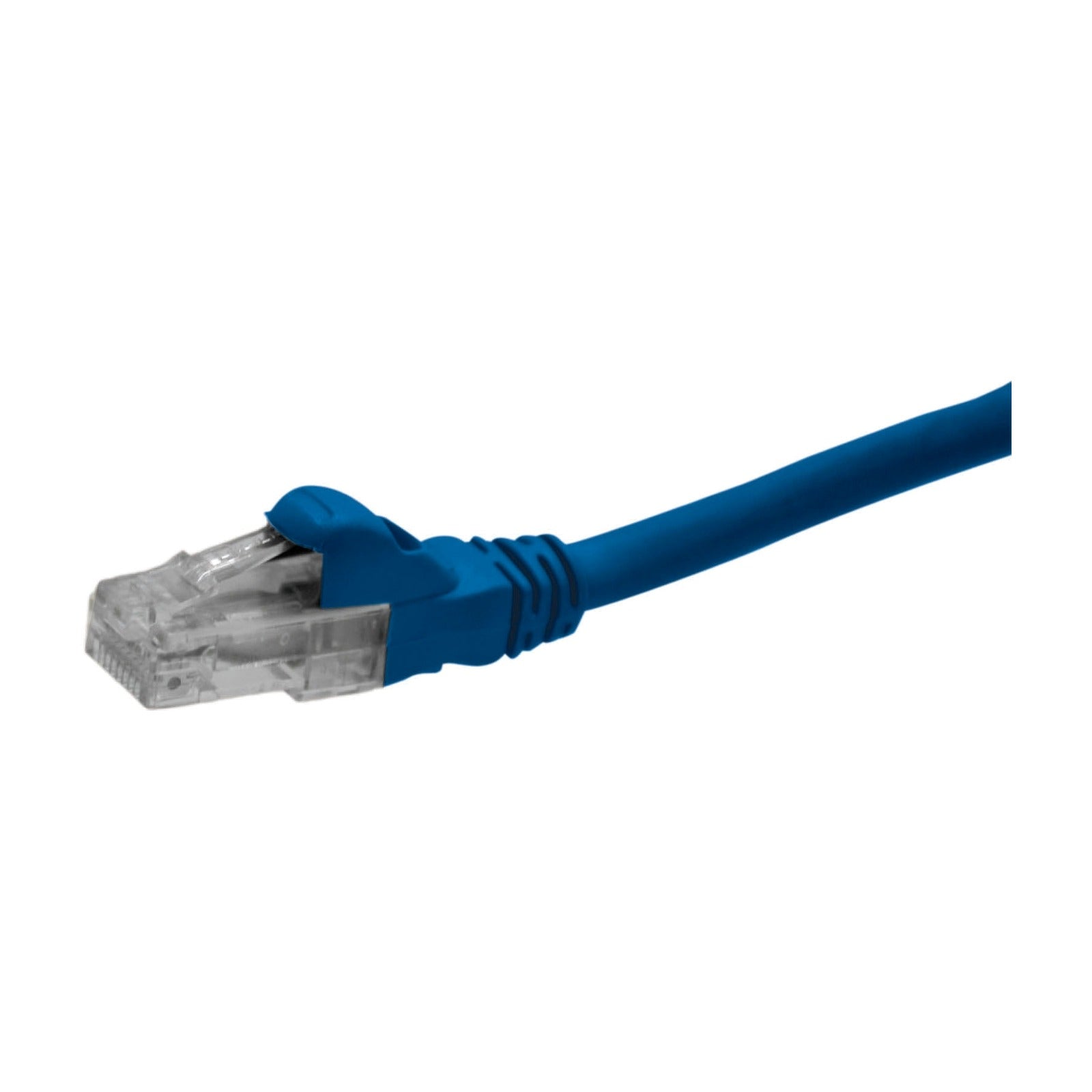 Latiguillo de red Schneider Electric Actassi Cat. 6 U/UTP, azul, 3 m, DC6PCURJ03BLM - referencia DC6PCURJ03BLM