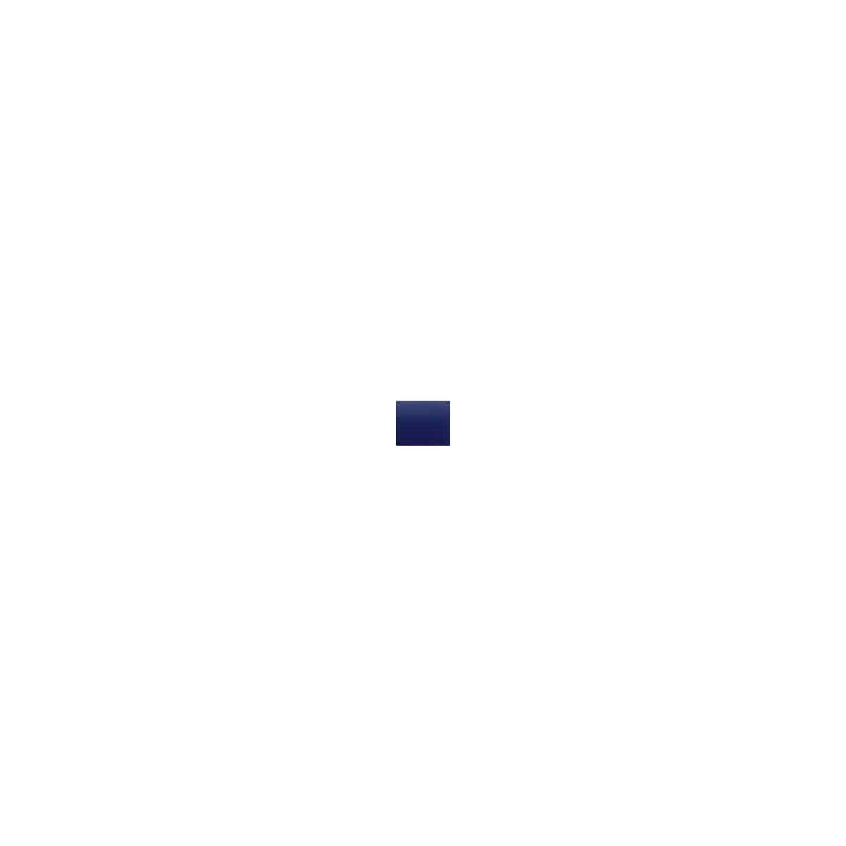 Tecla BJC Iris azul Ming para interruptor y conmutador – Ref. 18705-AM - referencia 18705-AM