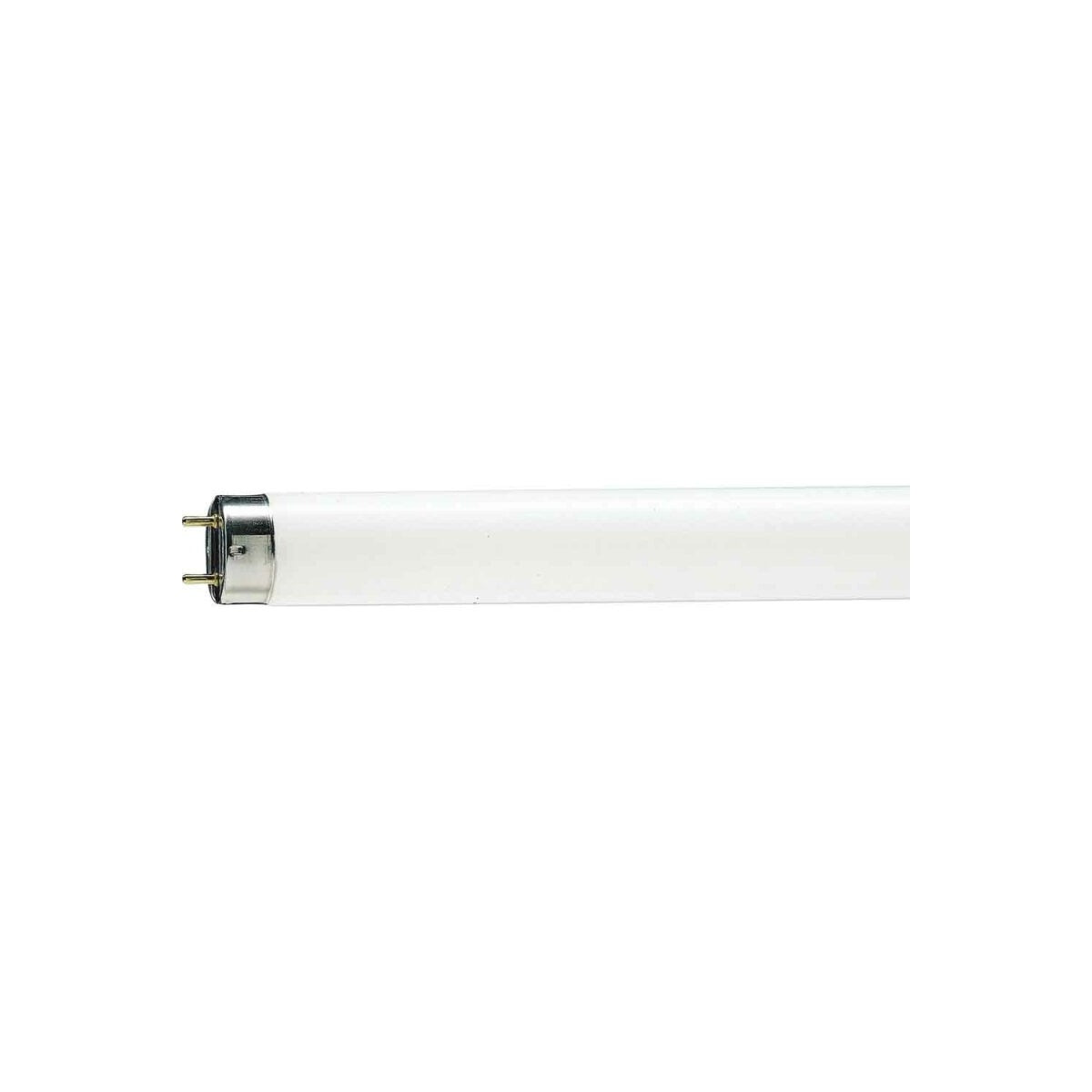 Tubo fluorescente Philips MASTER TL-D Super 80 15 W 865 G13 44 cm – Ref. 91731400 - referencia 91731400