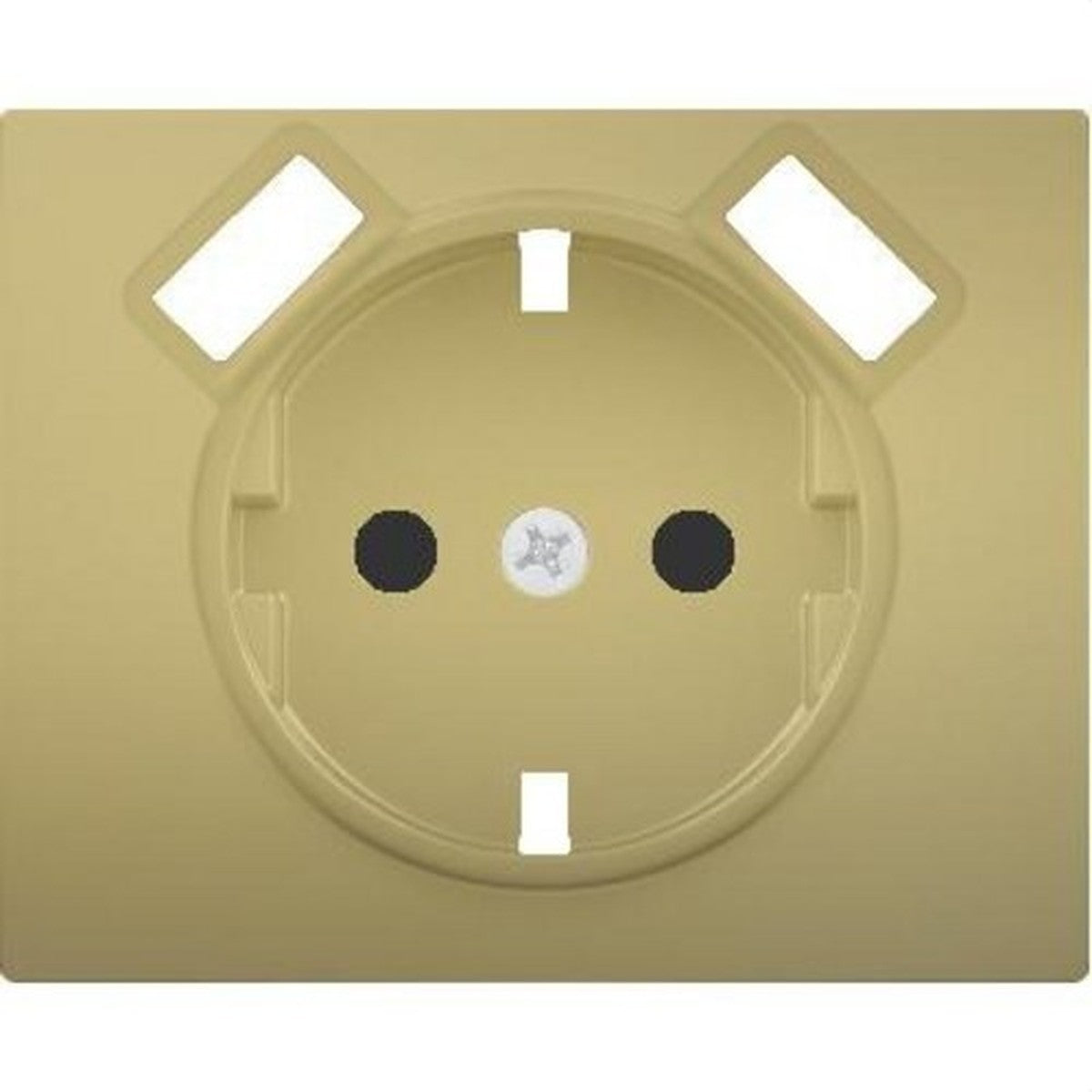 Tapa base enchufe seguridad 2 USB serie iris dorado odisea BJC - referencia 18724USBOD