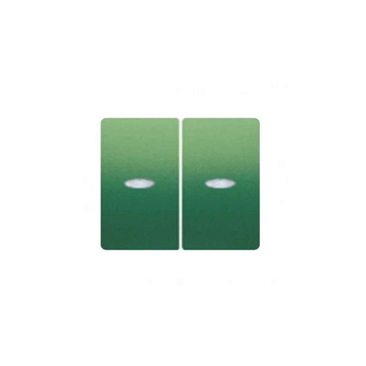 Tecla doble BJC Iris con luminoso verde Minerva – Ref. 18709-VML