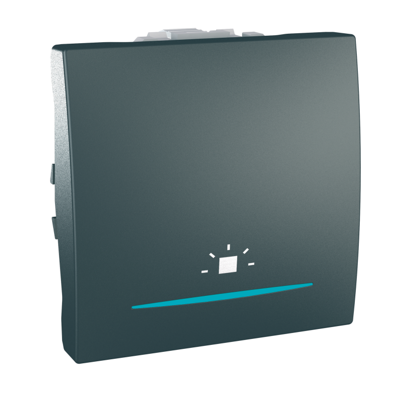 Pulsador luz c/piloto loc nocturna grafi Schneider Electric MGU3.206.12LN