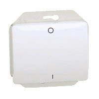 Interruptor bipolar 10A 250V LEGRAND 71812