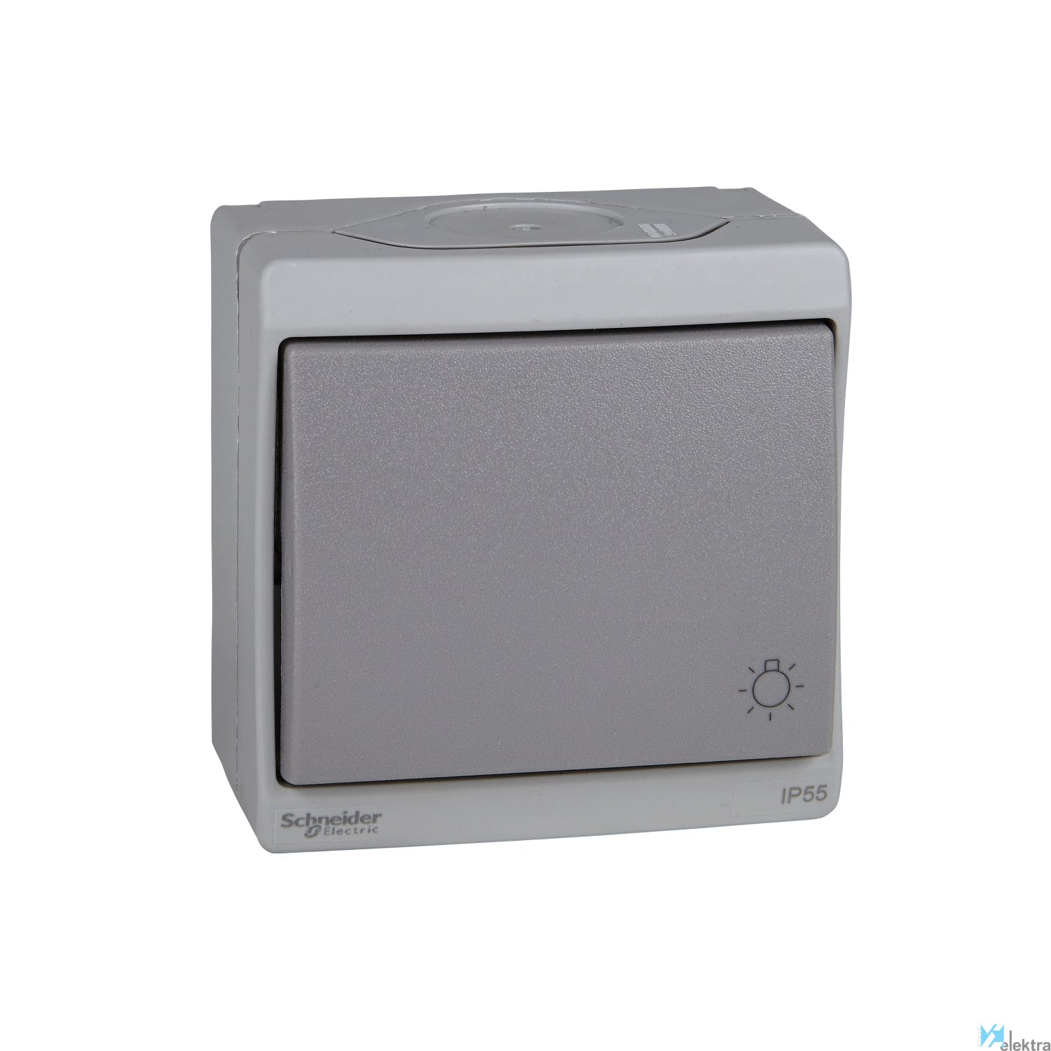 Pulsador simbolo luz ip55 gris Schneider Electric ENN35783