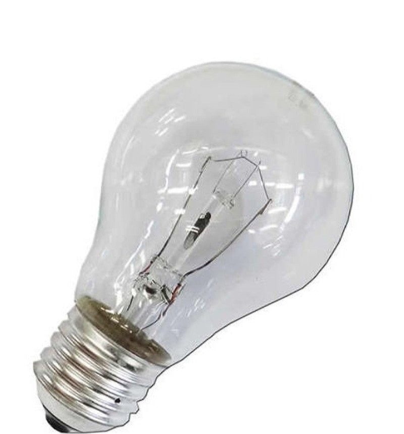 Bombilla reforzada E27 100 W 250 V