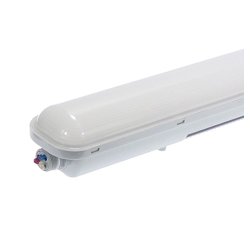 Pantalla estanca LED SMD Eskia de 50 W y 4000 K